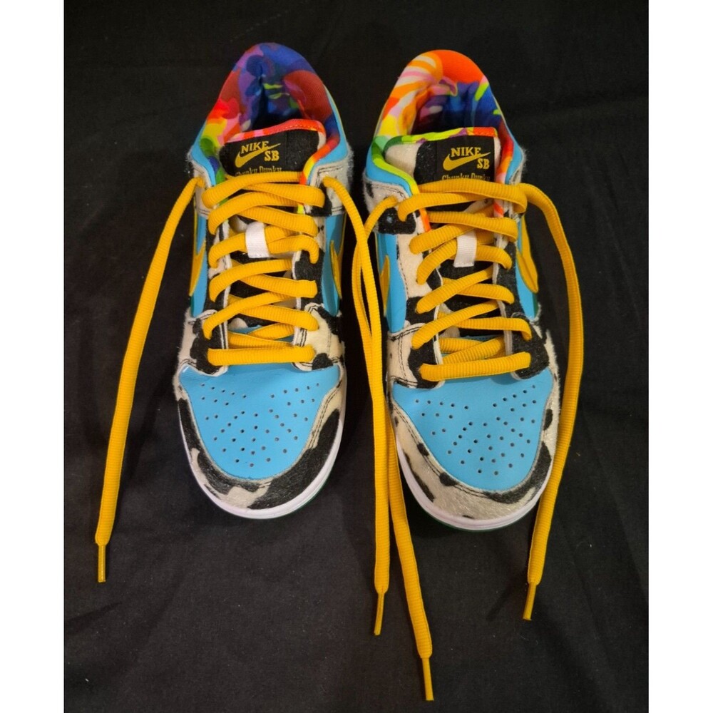 Ben & Jerry's x Nike Dunk SB Special Ice Cream Box Low Chunky Dunky Size 8.5